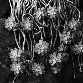 DETAIL / DETAIL